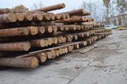 Бревна из лиственницы