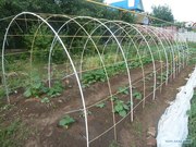 Парник из композитной арматуры